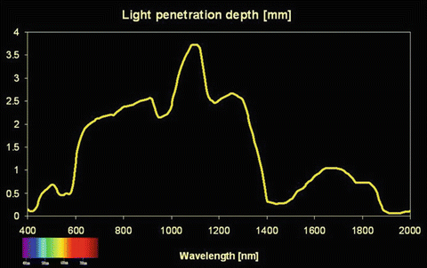 Light penetration depth as a function of wavelength, peaking in the near-infrared range around 900 to 1100 nm
