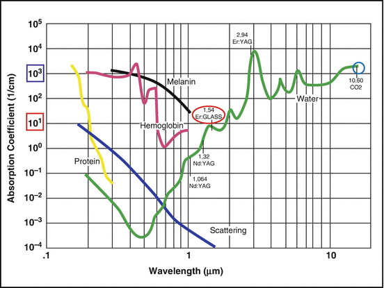 Water absorption curves comparing the Er:Glass non-ablative laser and the CO2 ablative laser as a function of wavelength